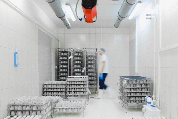 Cold Storage rooms and chiller design, installation and maintenance